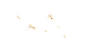 鸽子