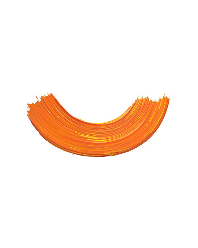 Orange Flex : For Or...
