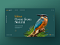 LW Demo Pilling Parallax parallax banner slider layout bird theme agency portfolio creative