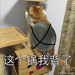 礼拜三中午之细腿会长@老朽性别秀吉 表情包... 来自胡萝卜吃兔兔 - 微博