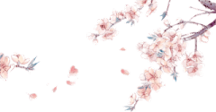 过客&采集到花