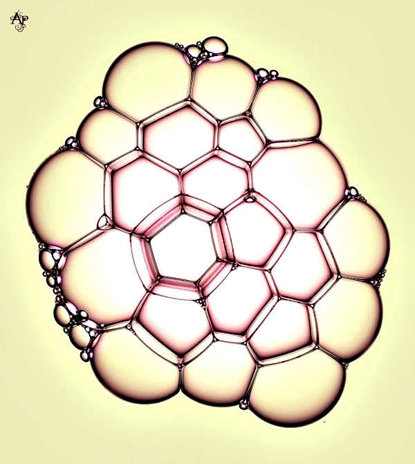 David Parfitt Bubble...