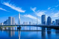 交通大桥交通工程项目