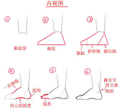 SSSSara采集到插画练习