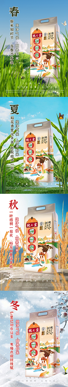 冷面呆呆采集到大米/五谷拍摄参考