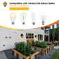 Retro Vintage Outdoor Wall Lamp, Waterproof Exterior Wall Sconce, Clear Glass Porch Light, Industrial Barn Light, Patio Lantern ,1 Light - Walmart.com