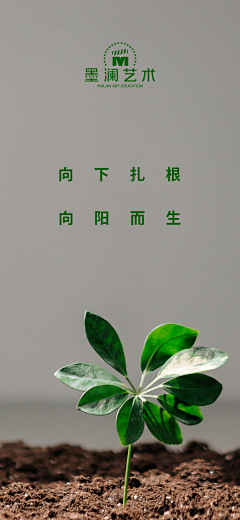 ArtisanYang采集到墨澜设计