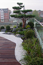 japanischer Garten auf Dachterrasse, traumhaftes Wohnen im Penthouse mit Japangarten
