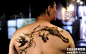 背部一幅春柳双燕纹身作品图案