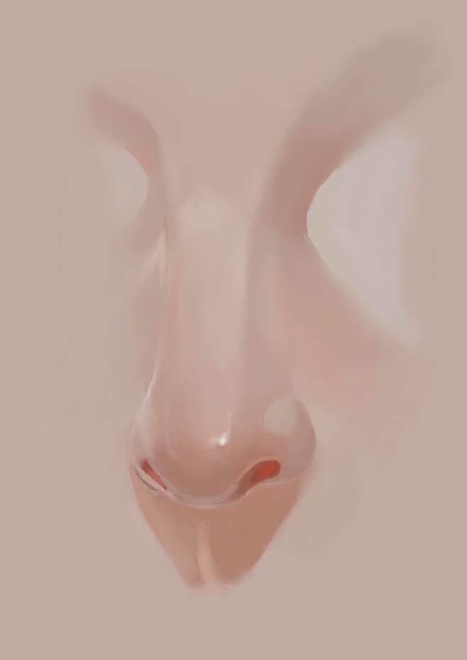 鼻子