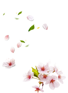 德云-大少奶奶采集到绿植、花卉