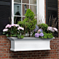 Window boxes: 