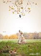 挣脱项圈的狗狗

 
 
 
这组“摆脱项圈”系列照片以狗狗为主角，出自摄影师Ron Schmidt之手，选自他最受欢迎的“奇妙狗狗”系列作品。在这组照片中，狗狗们或划船、或嬉戏，萌态百出，十分可爱。

(7张)