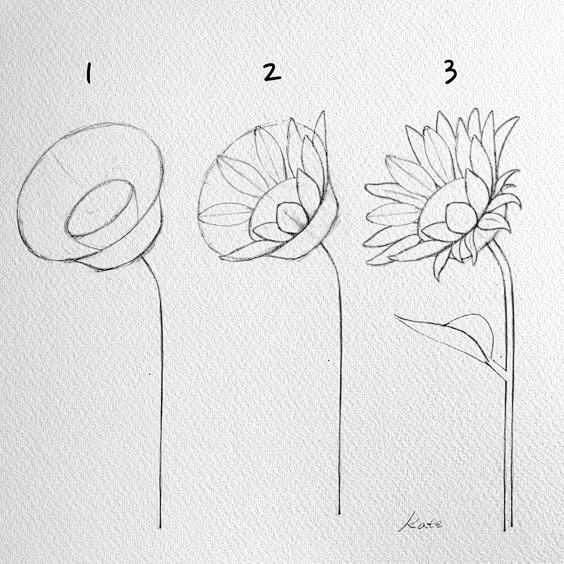 How to draw flowers ...