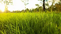  夏日清新护眼高清壁纸   #高清# #清新# #精选# #优质#