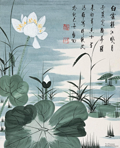 墨凌烟羽采集到花