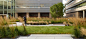 史密斯心血管研究学院庭院景观 Smith Cardiovascular Research Building by Andrea Cochran Landscape Architecture :   Andrea Cochran Landscape Architecture :   这个LEED黄金项目包括一个最先进的大约14万平方英尺的实验室研究大楼，一英亩，中央庭院和校园入口广场。景观设计的一个重点是创造一个庭院，促进科学家之间的互动。这个庭院的设计体现了该...