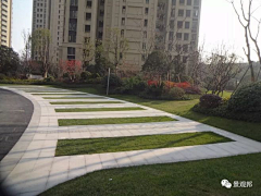 心有艳阳采集到景观专项--停车场