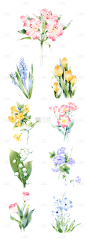 2309SC-素材组合-春天手绘水彩花卉元素