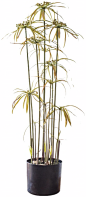 #花艺# #绿植# #摆件# #软装设计#