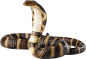 眼镜蛇PNG