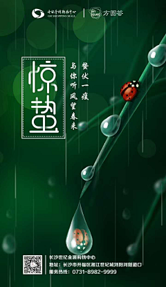 嘻嘻a~采集到节假日海报
