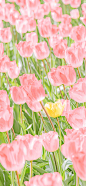 0060W0Exly1hbeffle5eaj615o2i7npd02.jpg (1500×3247)