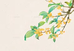 中秋桂花枝古风国画水墨工笔横幅小品 - 站酷海洛 - 正版图片,视频,字体,音乐素材交易平台 - 站酷旗下品牌
