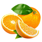 171a0f3abf31ce8b606a285f3a245a8083b64f1031f98-FXKjPH_fw658