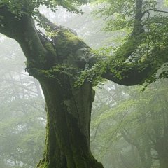 喵喵基地的照片 - 微相册