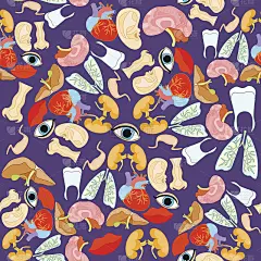 与人的心脏器官，肺，肝脏，大脑，