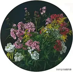 花草 - 高清图片，堆糖，美图壁纸兴趣社区