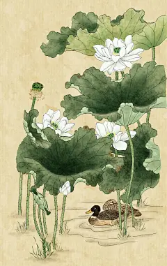 荷花临摹03-鱼灵_荷，工笔，中国风_涂鸦王国插画