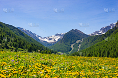 制杖选手采集到场景