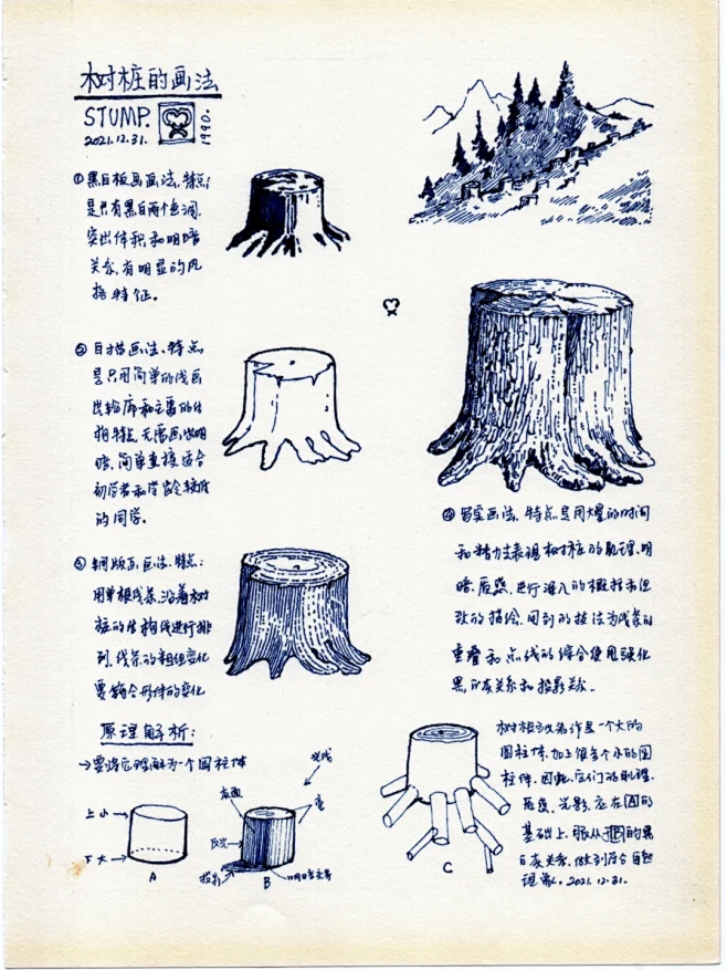 【基础入门必看】树的画法笔记合辑 - 小红书-花瓣网