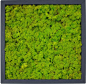超酷，好用的绿植墙面 （可以当贴图用） 6552810