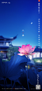 大暑
