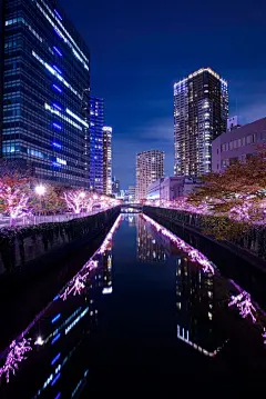 城市夜景 街景 旅行 风景 街道 灯光