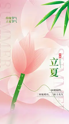 二十四节气立夏节气夏天你好夏日荷花海报
