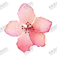上海乖乖采集到插画|摄影