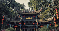 DingNan87采集到稀奇古怪的东西