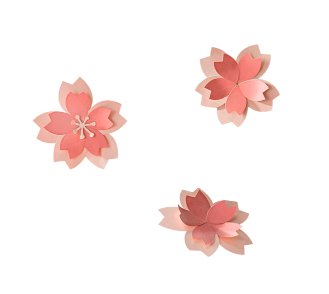 花0