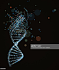 DNA structure, illustration_