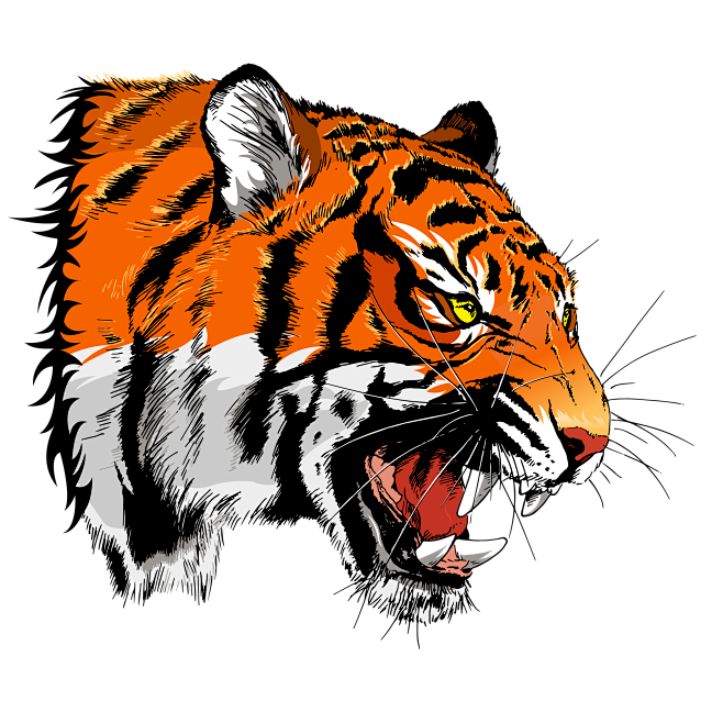 874807老虎 Tiger-1