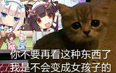 沉迷增肥日渐消瘦采集到猫咪表情包