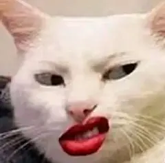 （合集）听说你们都很喜欢我的猥琐表情包 - 小红书