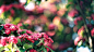 General | Wallpaper No. 100046 - wallhaven.cc