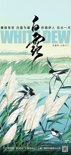 孜1孜采集到节气