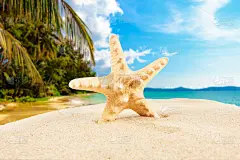 暑假的概念。暑假在海滩海滨。夏天的背景。假期。