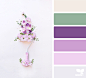 Design Seeds : Design Seeds color palettes ... posted daily for all who love color.